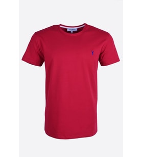 Erkek Kısa Kollu T-shirt (Kırmızı)