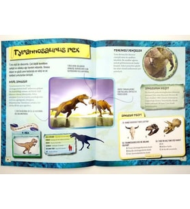 Dinozorlar - Dövme Kitabı 