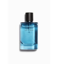 ZARA VIBRANT LEATHER BOGOSS EDP 100ML (3.4 FL. OZ). ERKEK PARFÜM