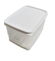 Geseus Moonstar Süzgeçli Peynir Saklama Kabı 2 Litre BPA FREE-MS06