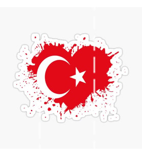16cm Bayrak Yapıştırma Etiket  Araba Cam MD6