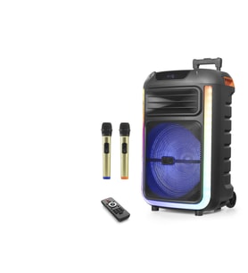 Çift Karaoke Mikrofonlu Bluetooth Hoparlör Fm Radyo 40W 15 İnç Rgb Kumandalı Siyah NDR325