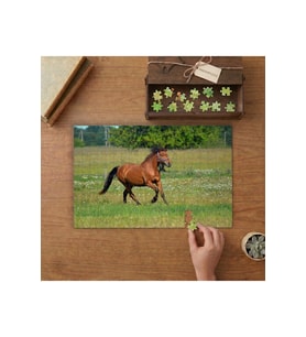 Çayırda Koşan Kahverengi Atın Zarafeti Tasarımı 240 parça Ahşap Puzzle Ahşap Kutuda MP07413