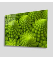 Yeşil Bitki Green Plant  72x46 Renkli (Çok Renkli-Multı)