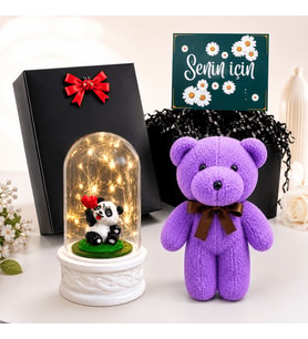 Siyah Hediye Kutusunda Sevimli Panda Biblolu LED Işıklı Fanus ve Mor Peluş Ayıcık Hediye Seti