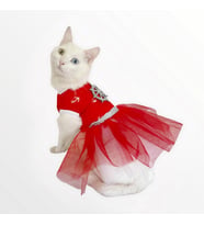 Red Anchor Tütülü Kedi Elbisesi, Kıyafeti Tutu