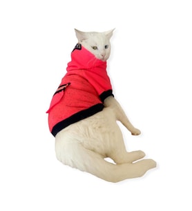 Pink Stars Kapşonlu Sweatshirt  Kedi Kıyafeti 