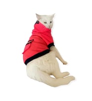Pink Stars Kapşonlu Sweatshirt  Kedi Kıyafeti 