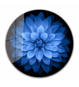İdealizbiz Mavi Lotus Çiçek Cam Tablo 4mm Dayanıklı Temperli Cam
