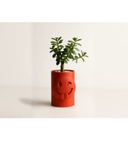 Alvera Emoji Planter – 3D Baskı Göz Kırpan Yüzlü Minik Yeşil Saksısı-Turuncu