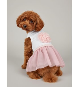 Rosie Pink Tütü Köpek Kıyafeti  PembeTütülü Elbise  Küçük Irk Köpekler İçin