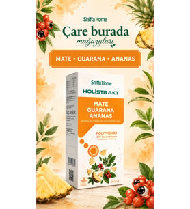 HOLİSTRAKT - Mate & Guarana & Ananas İçeren Sıvı Ekstrat 250 Ml (Krom & Yeşilçay)