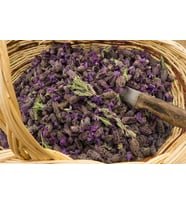 Karabaş Otu 100 gr ( Doğal Kurutulmuş, Elenmiş, Katkısız )