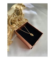 Zirkon Taşlı Minimal Gold Ş Harfli Kolye