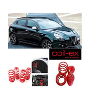 Alfa Rome Giulietta Uyumlu Coil-Ex 2.5 cm Spor Helezon Yay