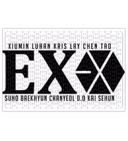 Exo Puzzle 240 Parça A3 (2).jpg