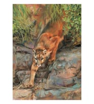 Dağ Aslanı Puma Tablo Ahşap Poster Dekoratif