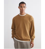 LCW Vision Kahverengi Bisiklet Yaka Erkek Sweatshirt