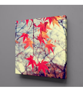 YAPRAKLAR TEMALI KANVAS TABLO 70x70cm (Karışık)