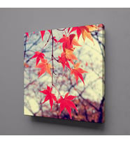 YAPRAKLAR TEMALI KANVAS TABLO 70x70cm (Karışık)