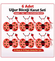 639lı Uğur Böceği Kostüm Seti - Kanat Taç Asa
