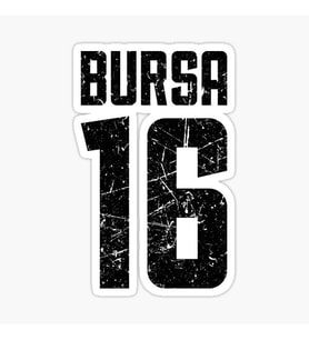 16 BURSA Sticker Yapıştırma Oto Etiket 17cm