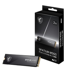 MSI 1TB SPATIUM M560 10200-8400MB/s M2 NVME GEN5 DİSK