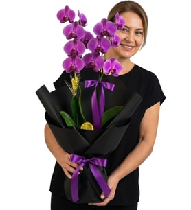 Seramik Saksıda Siyah Ambalajlı Tasarım Çift Dallı Mor Phalaenopsis Orkide
