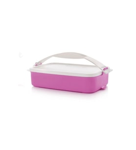 Tupperware Gezgin Kap 900 Ml Saklama Taşıma Esc