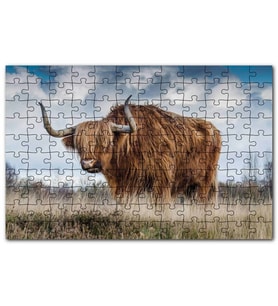 Cakapuzzle Bozkırda Kahverengi Yak Öküzü ve Bulutlar Puzzle Yapboz MDF (Ahşap) (120 Parça)
