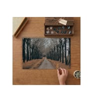 Kurumuş Ağaçların Arasında Yol Tasarımı 240 parça Ahşap Puzzle Ahşap Kutuda MP01470
