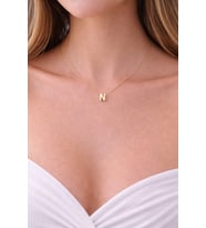 14K Altın Renginde N Harf Minimal Model Çelik Kadın Kolye
