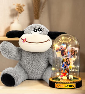 Kişiye Özel 3 Fotoğraflı Yazılı LED Işıklı Fanus ve Peluş Eşek Hediye Seti (kalp tutan biblolu)