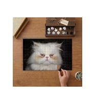 Beyaz İran Kedisi Tasarımı 240 parça Ahşap Puzzle Ahşap Kutuda MP02459