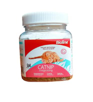 Bioline Catnip Kedi Otu 230 ml (Yeşil)