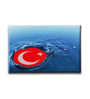 Damla Türk Bayrağı Kanvas Tablo ABY117
