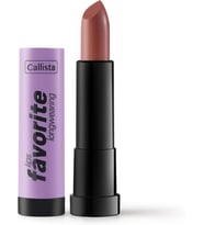 Lips Favorite Longwearing Lipstick Kalıcı Ruj 306 Here Kitty Kitty, Kahverengi