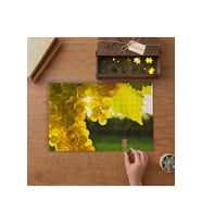 Sarı Üzüm Salkımı Tasarımı 240 parça Ahşap Puzzle Ahşap Kutuda MP01854