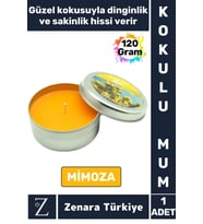 Özel Metal Kutu Arınma Huzur Meditasyon Yoga Esans Sakinlik Veren Dekoratif Oda Kokusu Mum 120 Gram