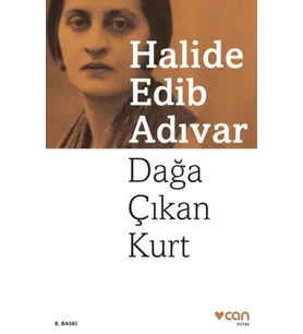 Dağa Çıkan Kurt