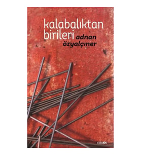 Kalabalıktan Birileri (Ciltli)