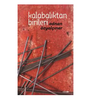 Kalabalıktan Birileri (Ciltli)