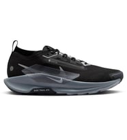 Nike Pegasus Trail 5 Gtx Erkek Spor Ayakkabı - FQ0908