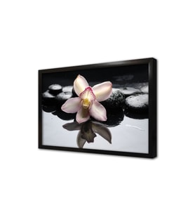 Spa Taşları ve Orkide Çerçeveli Mdf Tablo