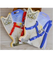 Kedi Boyun ve Göğüs Tasması