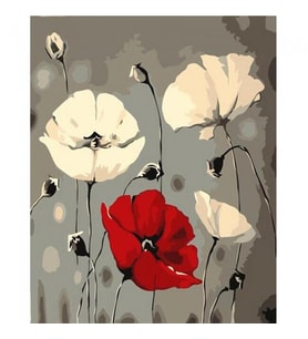 Beyaz Ve Kırmızı Gelincik Sayılarla Boyama Seti Canvas Kasnaklı 40 x 50 cm