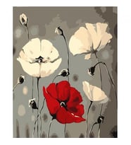 Beyaz Ve Kırmızı Gelincik Sayılarla Boyama Seti Canvas Kasnaklı 40 x 50 cm