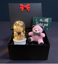 Siyah Hediye Kutusunda Pembe Peluş Ayıcık ve Led Işıklı Fanus Hediye Seti (Model 4)