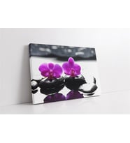 Spa Taşları ve Orkide (A.ALTIN)