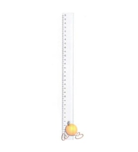 Hatas 30Cm Mercekli Cetvel 0143